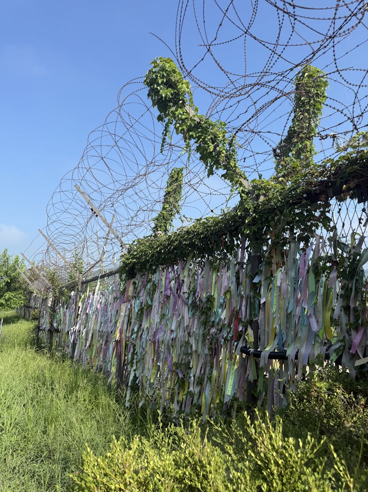 ribbons tied at the DMZ border barbed wire