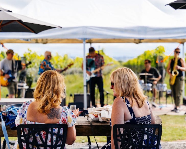 Bridge Pa Wine Festival pic from last year taken by Michael Farr of MiFarr Photography