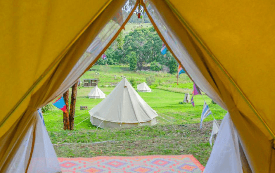 The inside of a glamping Victoria tent looking out onto a field. 