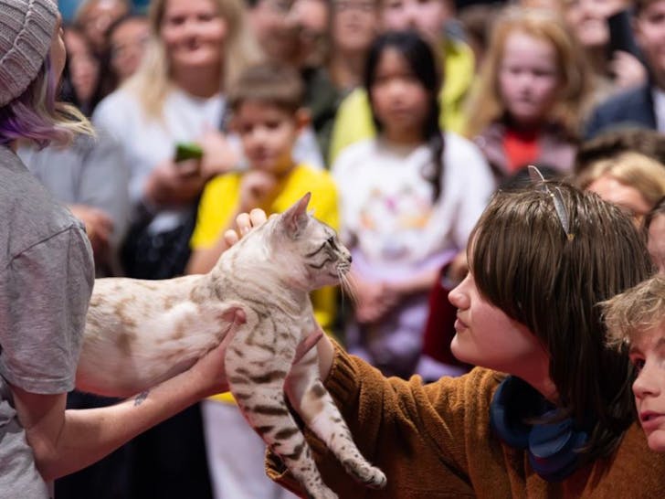 little girl petting cat