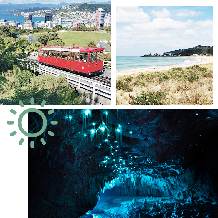 north island nz, what to do in new zealand north island