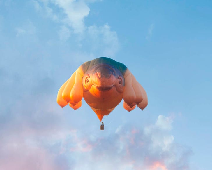 skywhale