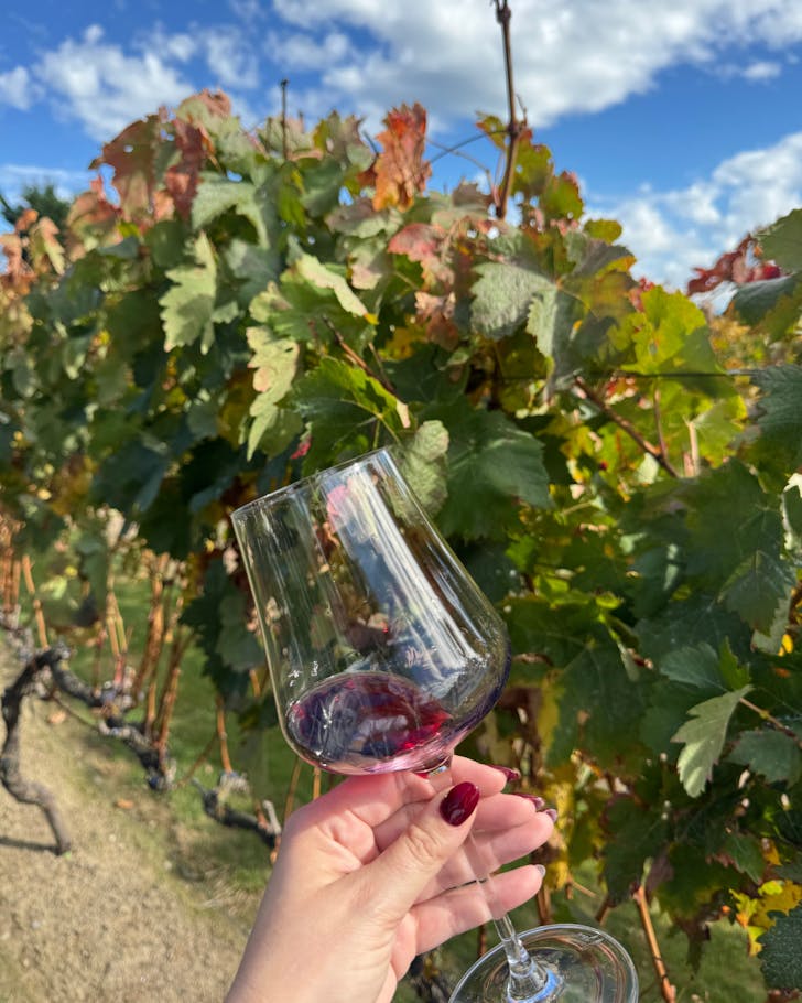 winery