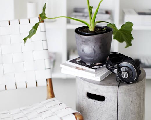 Indie Home Collective Newmarket