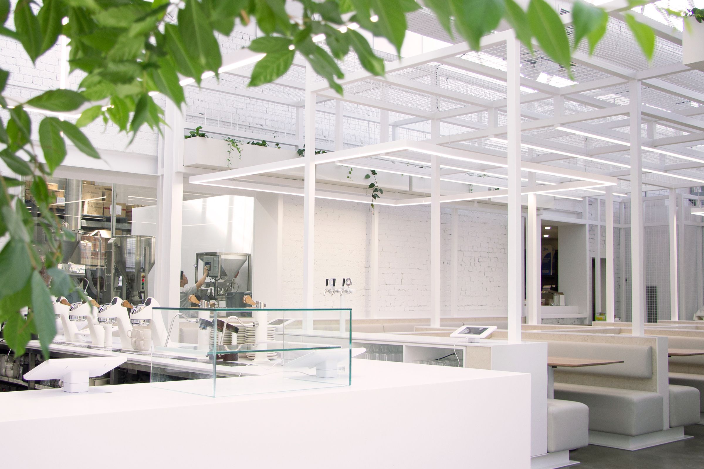 A completely white-on-white cafe interior with minimalistic designs and touch of greenery at Industry Beans