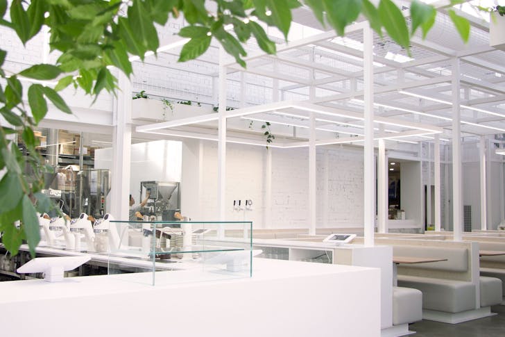 A completely white-on-white cafe interior with minimalistic designs and touch of greenery at Industry Beans