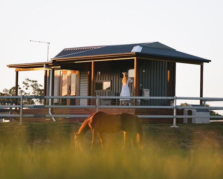 A horse grazes in front of Irene one of the best Yamba Airbnbs
