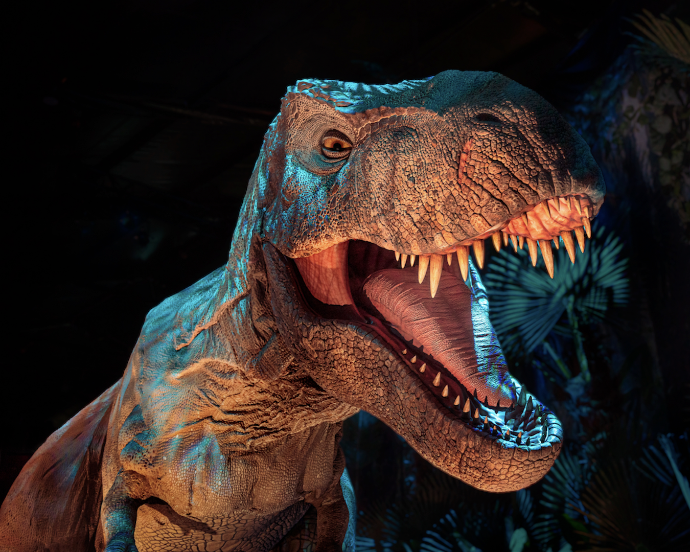 whats on sydney things to do jurassic world exhibition