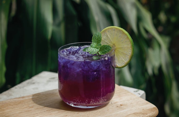 A purple cocktail with a lemon wedge sits on a wooden slab with palm fronds in the background.