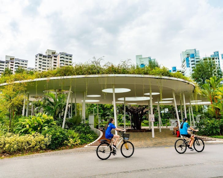Jurong Lake Gardens