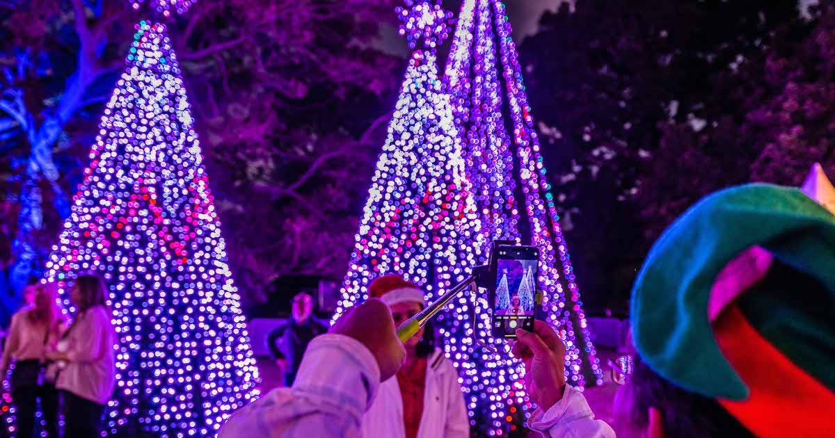 The Best Christmas Lights In Sydney To See In 2022 | URBAN LIST SYDNEY