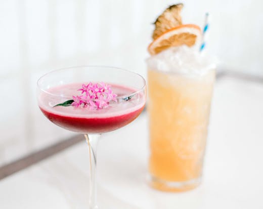 Koi broadbeach