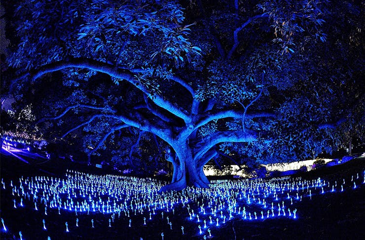 Let There Be Light Perth's Festival Of Lights Is Back URBAN LIST PERTH