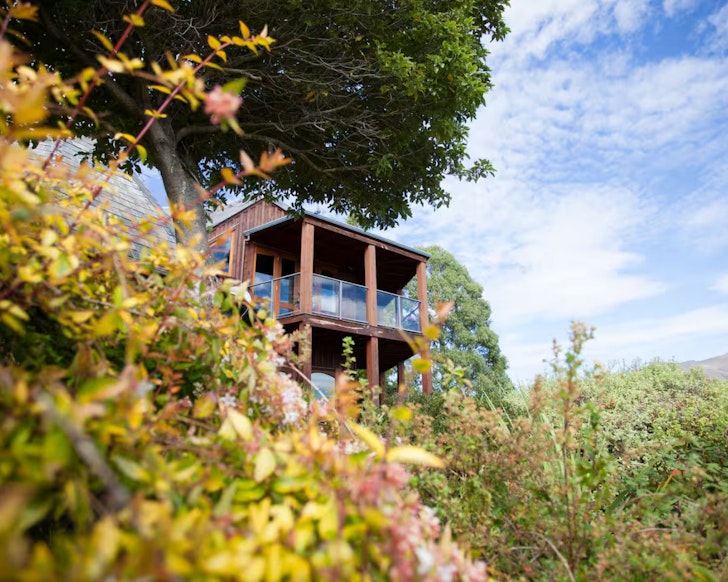 A view of Kauri House Apartment Airbnb one of the best accommodation options in Wanaka New Zealand surrounded by greenery