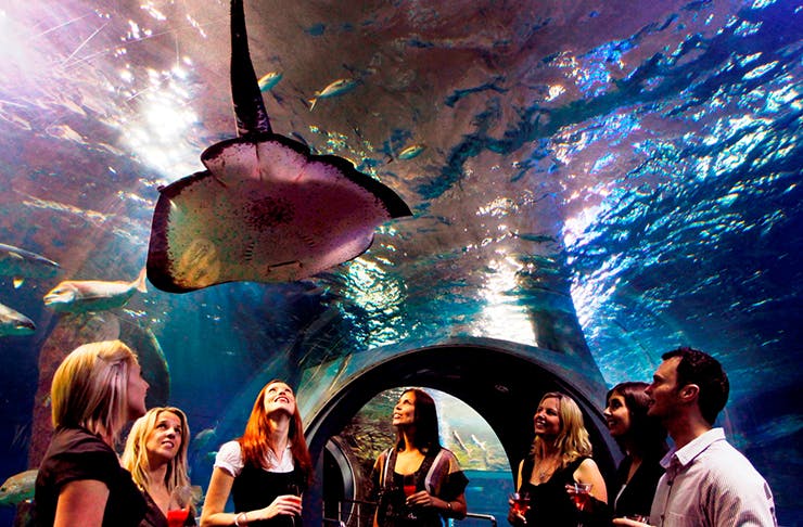 Here's Your Chance To Dine Under The Sea