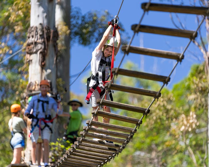 treetop challenge