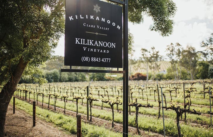 Kilikanoon Wines: One of the Best wineries in South Australia