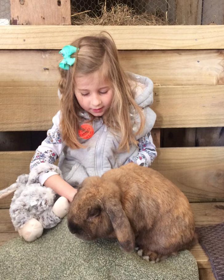 Kiwi Valley Farm Park 