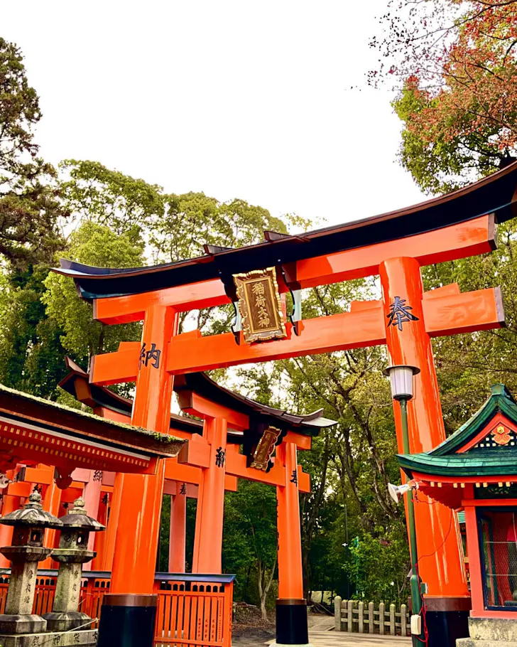 The vivid red inari gates at Fushimi Inari in Kyoto. 