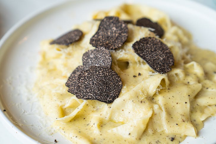 creamy pasta covered in truffles