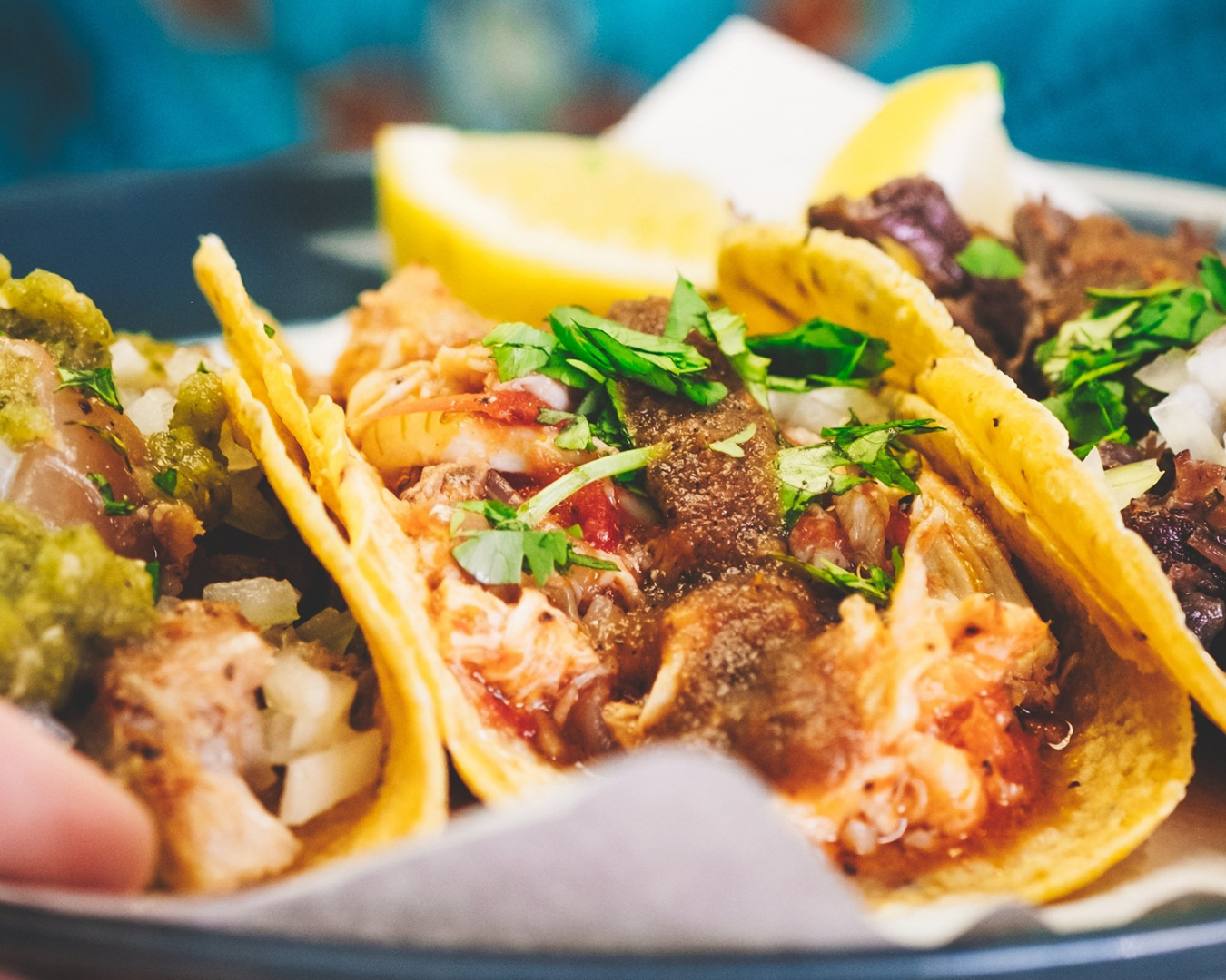 A close up shots of tacos served in La Mexicana