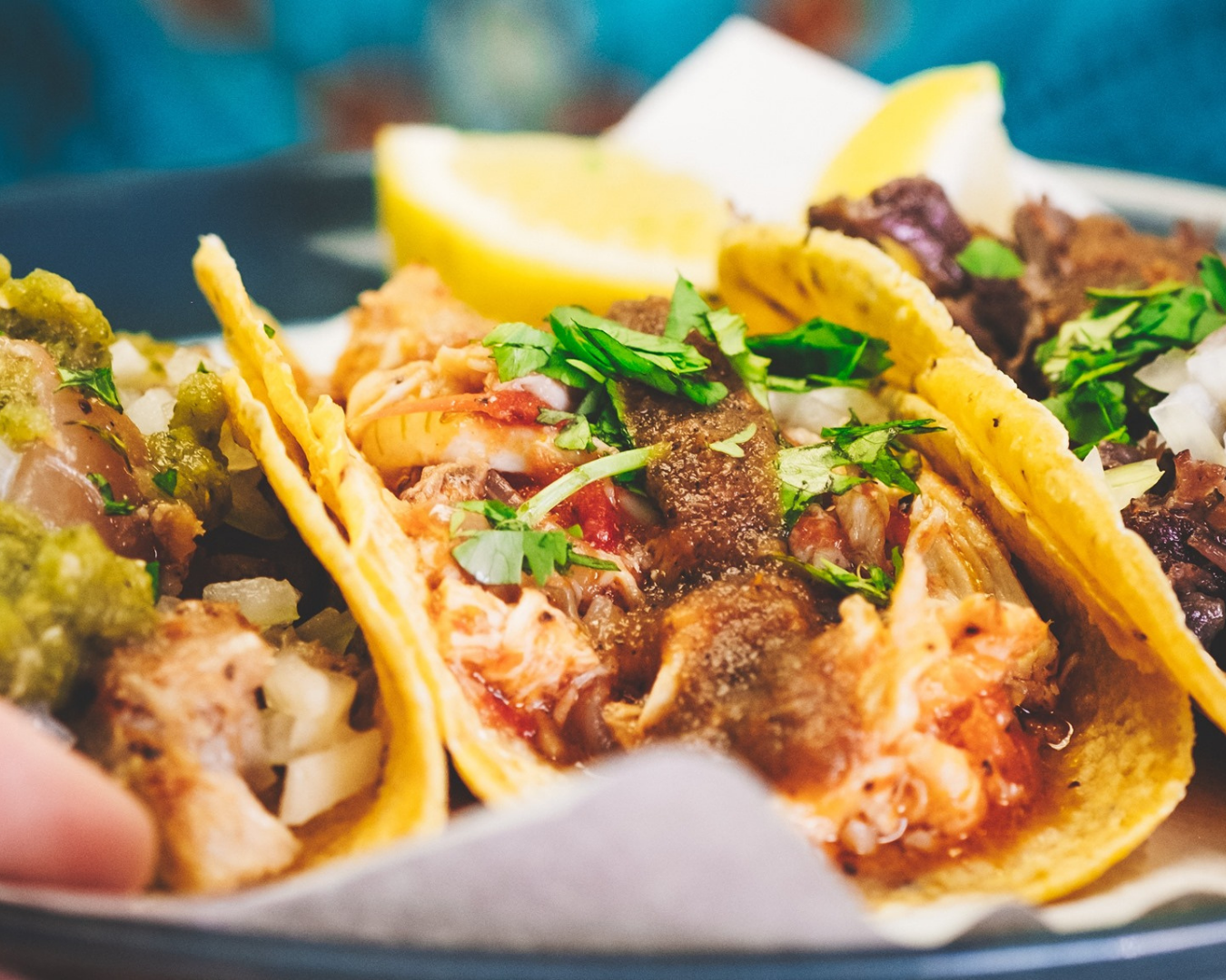 Best Birria Tacos, Auckland | URBAN LIST NEW ZEALAND