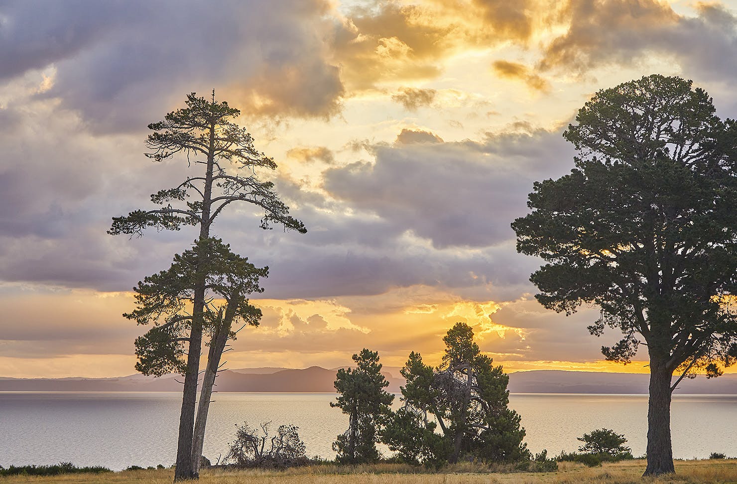 Moody sunset scene of trees and lake Taupo with mountain range in background in late afternoon light as the sun sets,Lake Taupo,Waikato,North Island,New Zealand