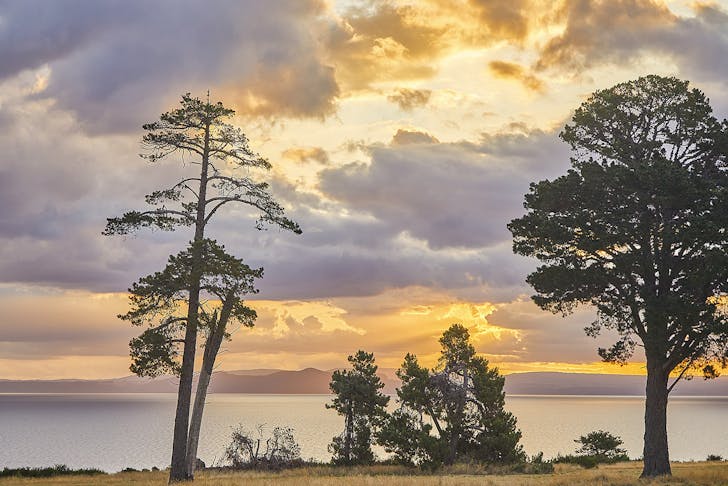 Moody sunset scene of trees and lake Taupo with mountain range in background in late afternoon light as the sun sets,Lake Taupo,Waikato,North Island,New Zealand