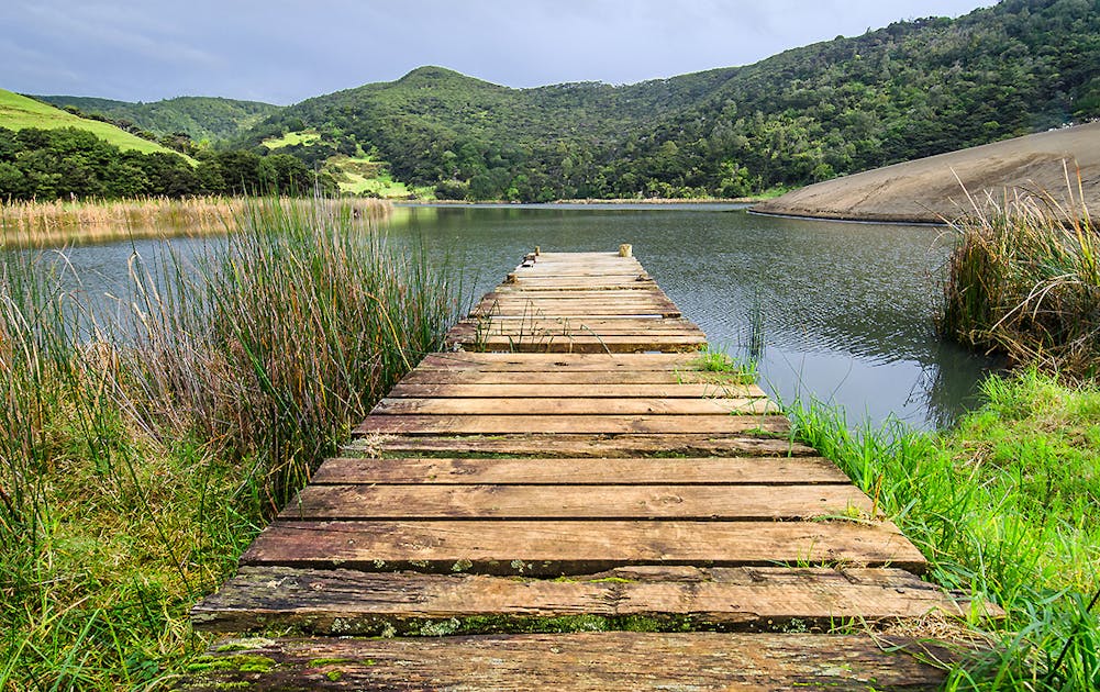 The Best Hidden Picnic Spots In Auckland | URBAN LIST NEW ZEALAND