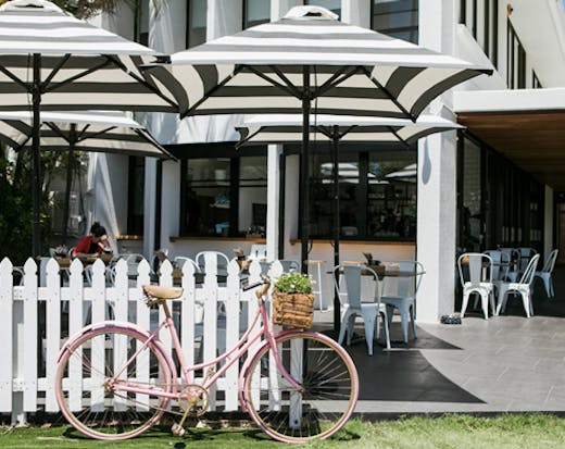 Little blackbird cafe