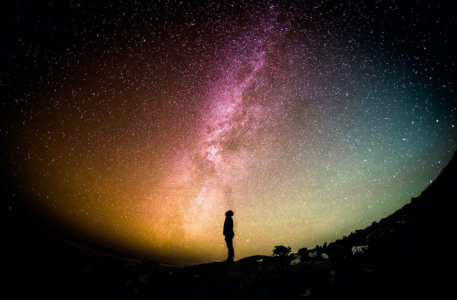 Looking to the stars 