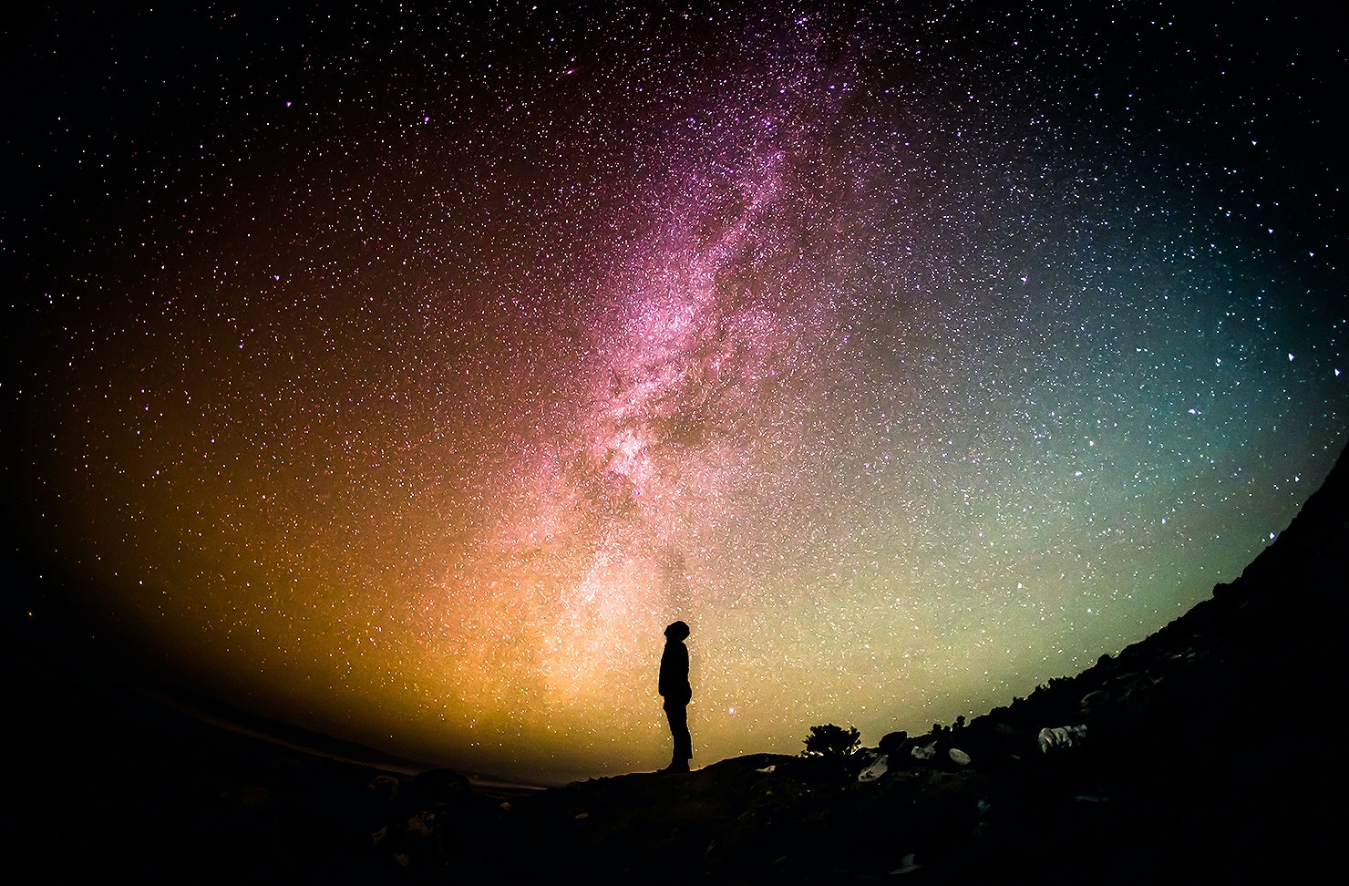 Looking to the stars 