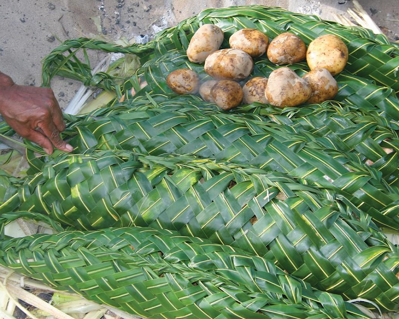  A person finishes wrapping a fish in an intricate bamboo leaf in preparation for cooking in a traditional underground Fijian oven called a lovo. 