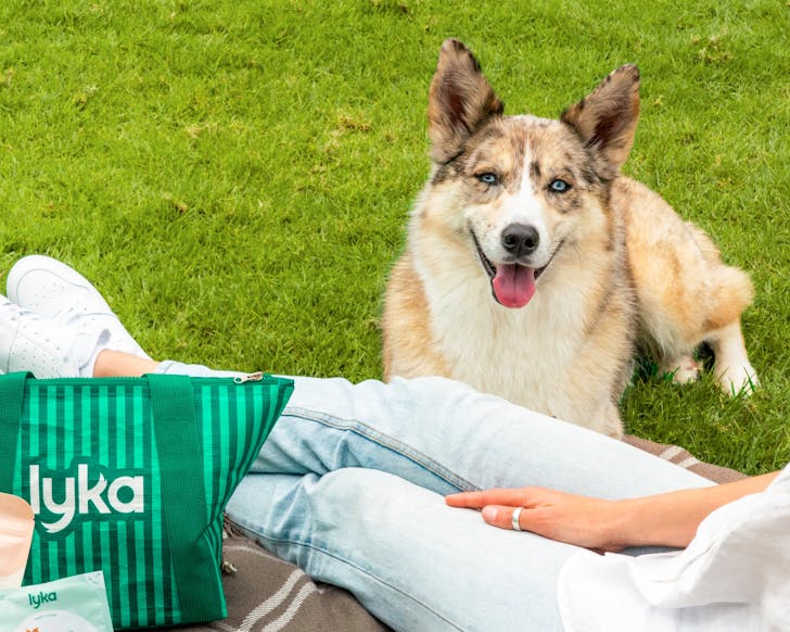A mid-to-close image of a dog sitting next to a lady on the grass, with the Lyka dog cooler bag visible in the bottom left corner of the image.