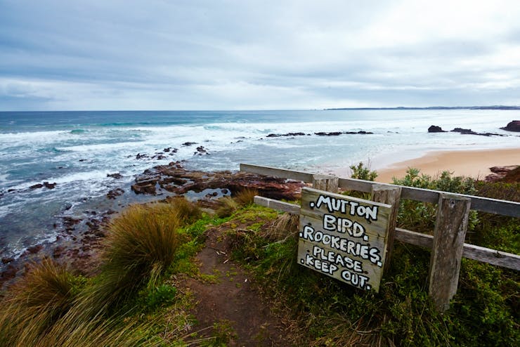 11 Reasons You Should Roadtrip To Phillip Island This Summer URBAN