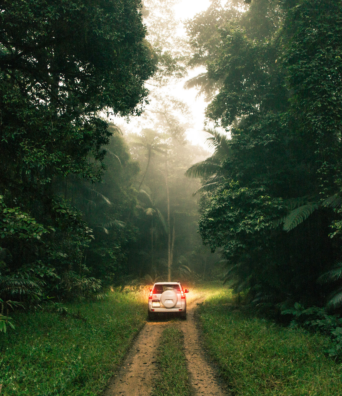 A car drives on a dirt track surrounded by lush bush. 