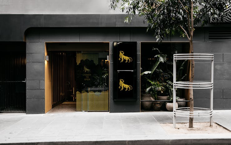 Maha, a best restaurant of Melbourne shot from the street with large windwos and a tree out front. 