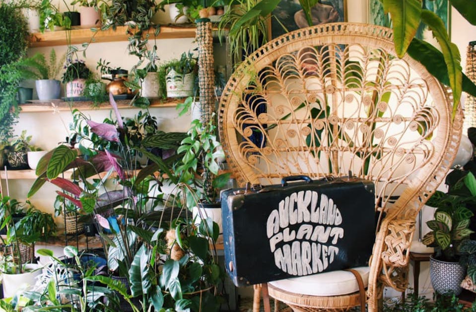 Make A Beeline, Auckland's Huge Plant Market Has Been Shifted To March | URBAN LIST NEW ZEALAND