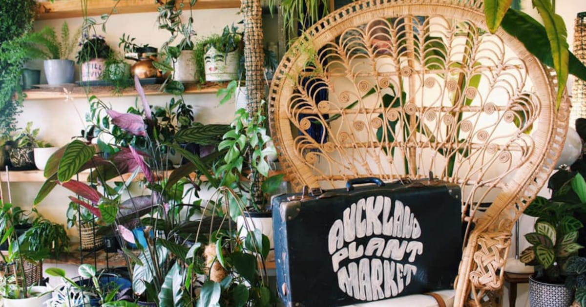 Make A Beeline, Auckland's Huge Plant Market Has Been Shifted To March | URBAN LIST NEW ZEALAND
