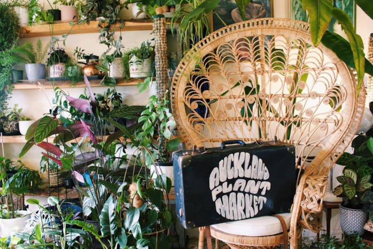 A chair with a suitcase that says 'Auckland Plant Market' on it with lots of plants in the background.