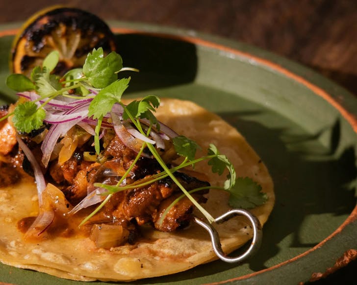 Close-up side view of a tortilla with meat on it, looking juicy, with sauce.