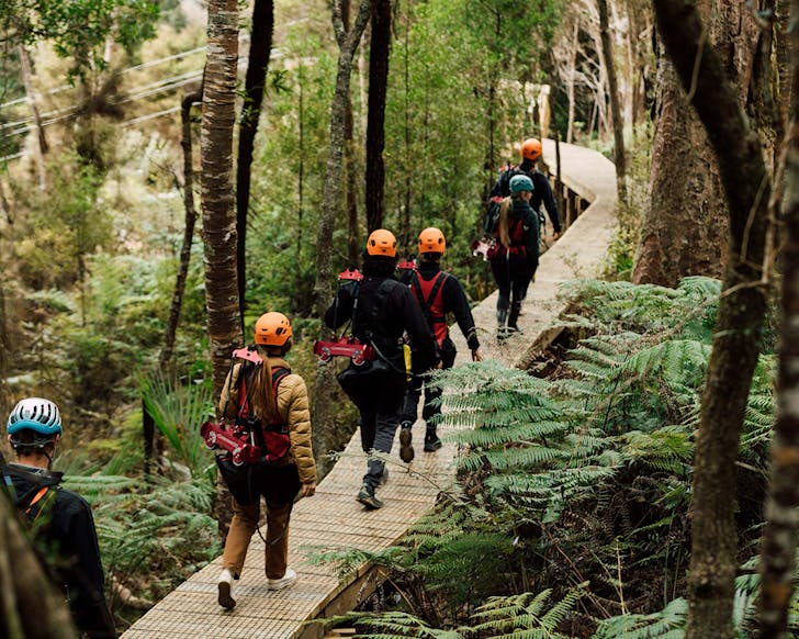 People walk through a beautiful forest boardwalk, ready to zip line to Man O' War. 