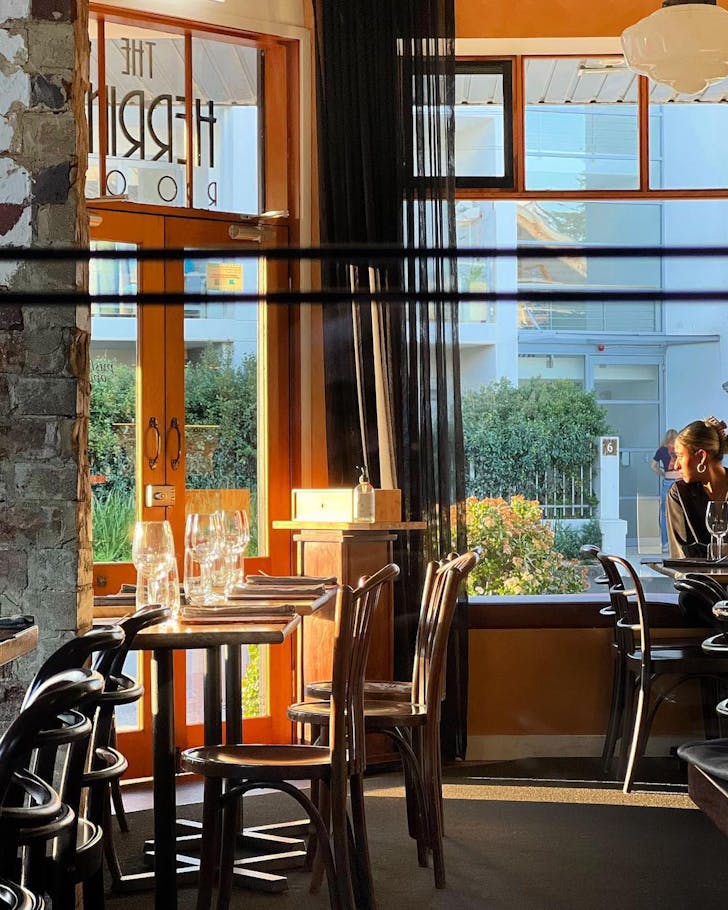 best manly restaurants the herring room