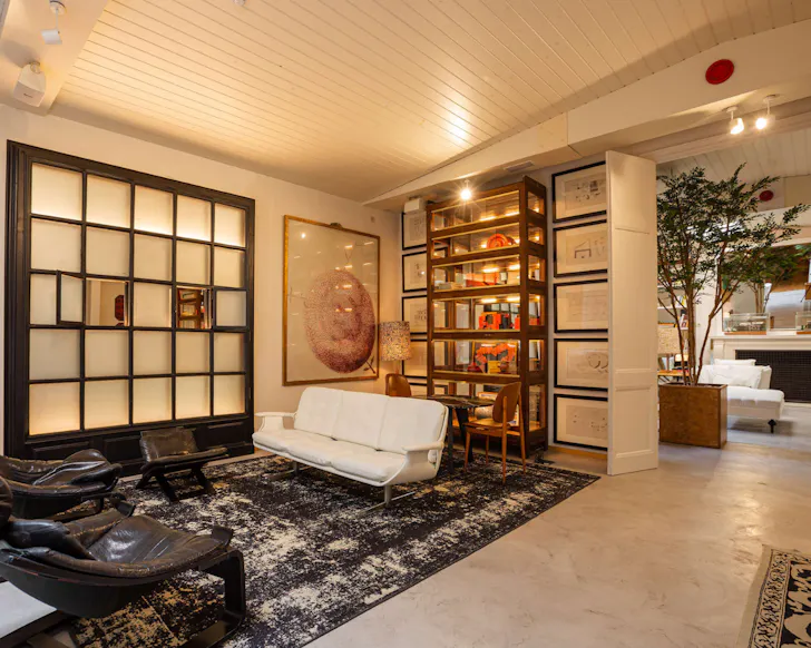 The modern lounge area at Margot House, featuring bookshelves, leafy plants and large-scale artwork.