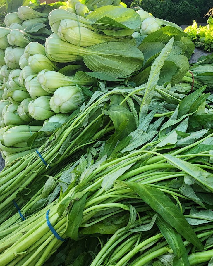 mt gravatt markets