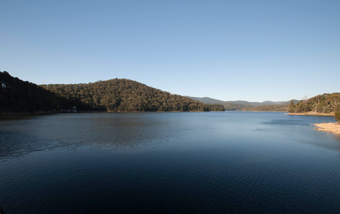 A large placid body of water at one of the best walks in Victoria. 