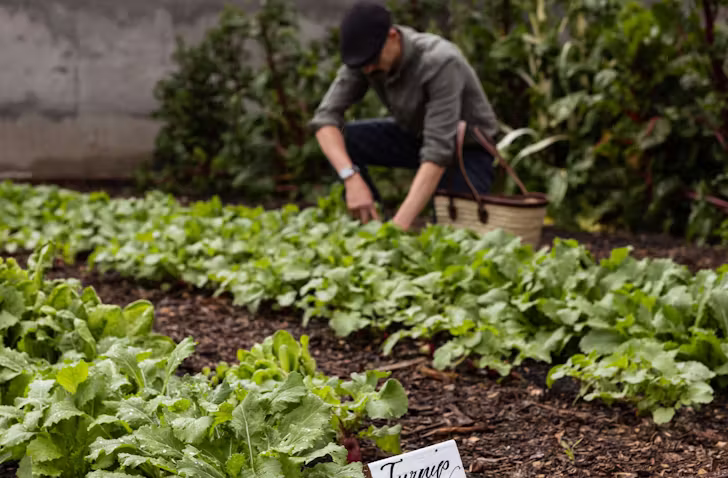Master culinary arts at Agrarian Kitchenâs 2026 classes