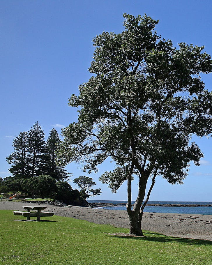 A picturesque picnic spot by the water.