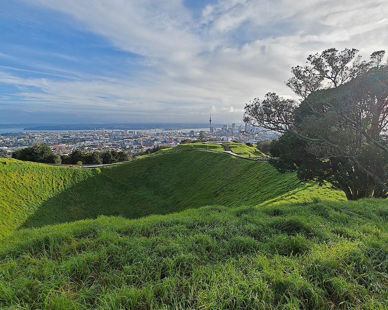 A view from the top of Maungawhau mount Eden.