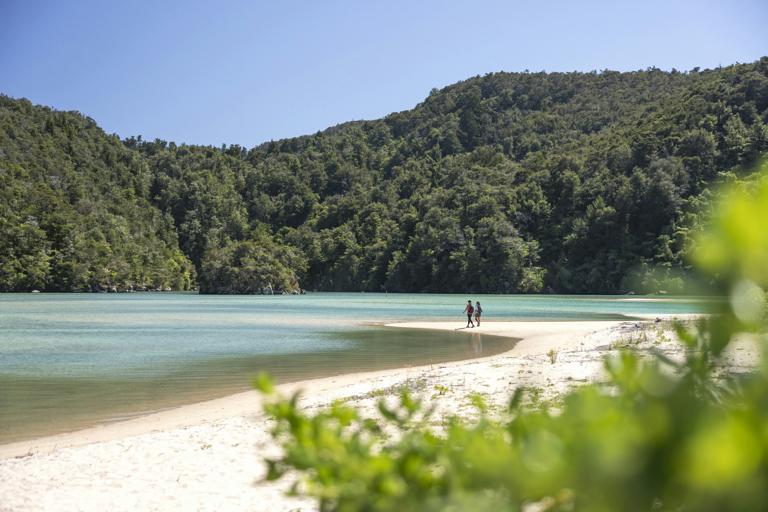 Hikers walking the Abel Tasman Great Walk. 